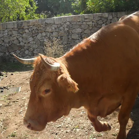 Masseria Luchicchio